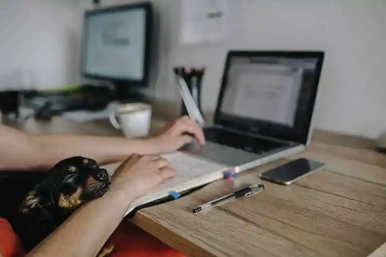 廖鹰优化seo真的有效吗？ 它具体优化哪些方面？