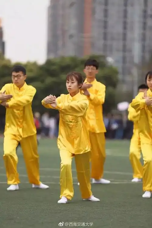 株洲SEO公司那么多，为什么有人专门选有为太极？它真的比自己做有效果吗？