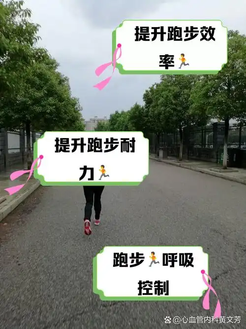 SEO长跑如何避坑？怎样在算法波动中保持稳定心态？