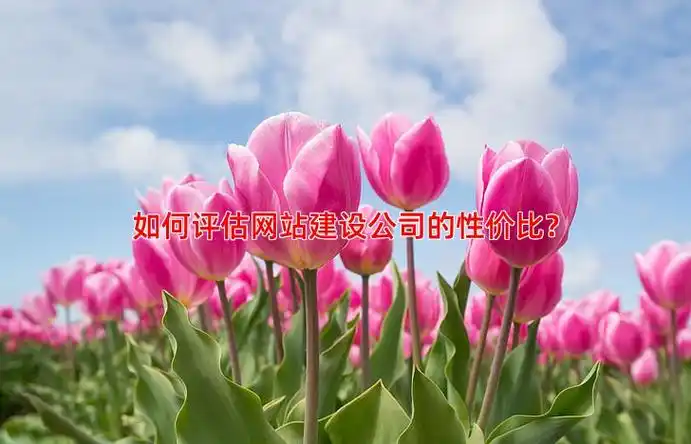 贵州正规SEO推广公司哪家靠谱？ 如何判断他们的实际效果？