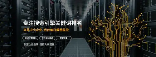 惠州网络推广SEO诊断到底有没有必要做？它能发现哪些具体问题？