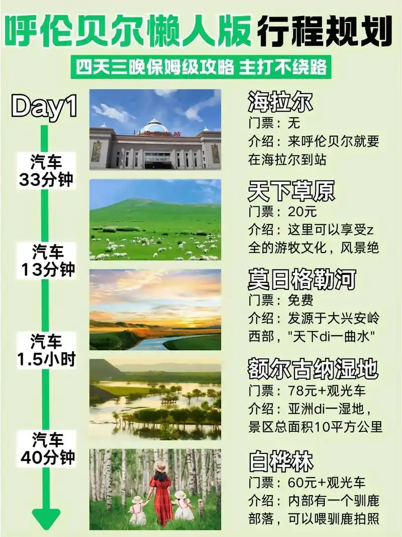 呼伦贝尔网站排名为何难？怎样优化才能见效更快？