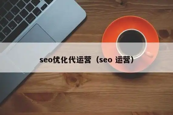 铜梁区低成本SEO推广代运营，效果如何保障 费用真的能降下来吗