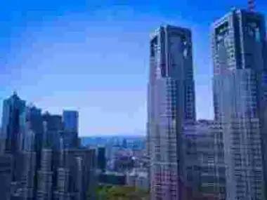 厚街镇SEO效果不理想？本地企业如何快速提升曝光？