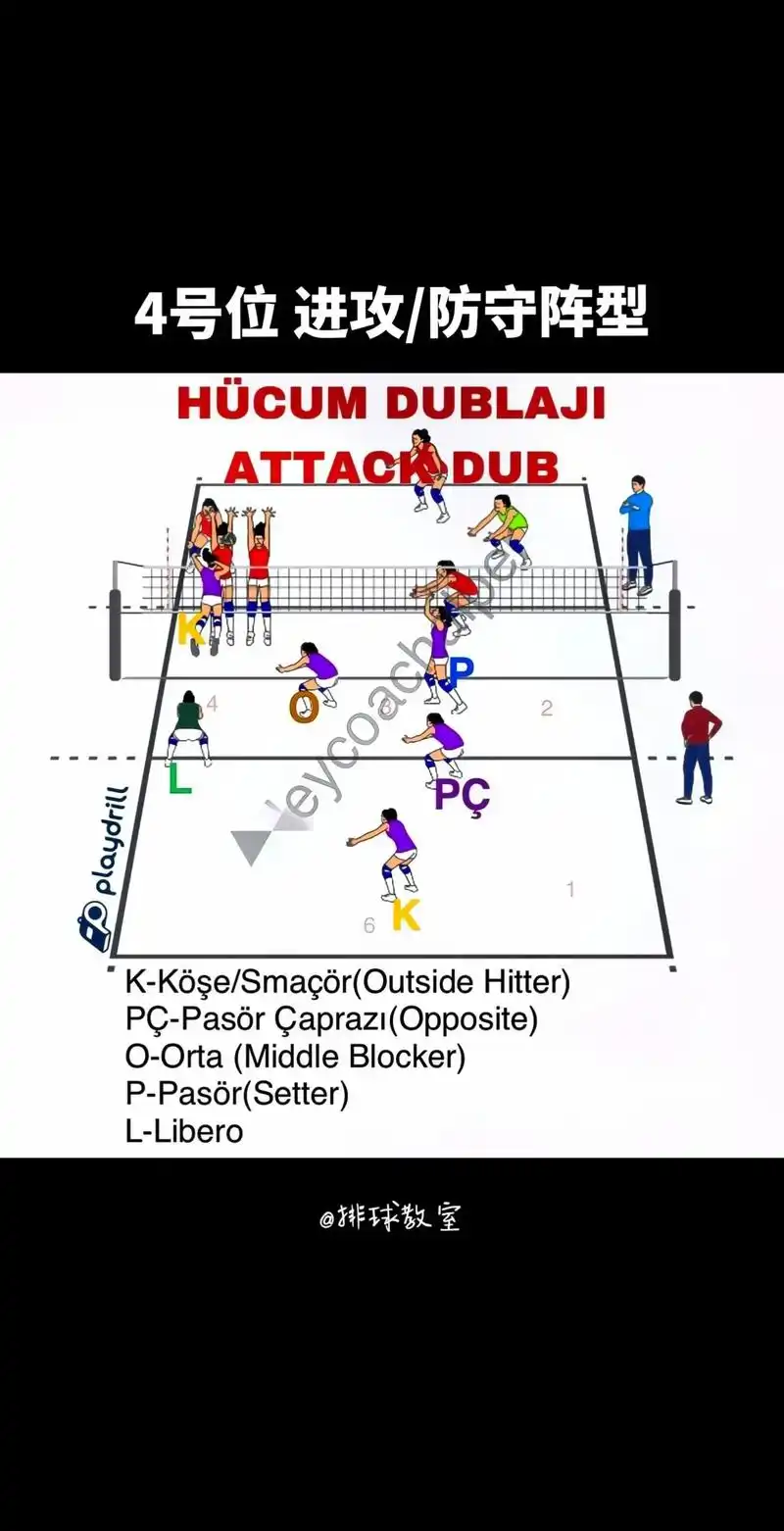 SEO如何破解排球战术意图？排球术语与搜索引擎有何关联？