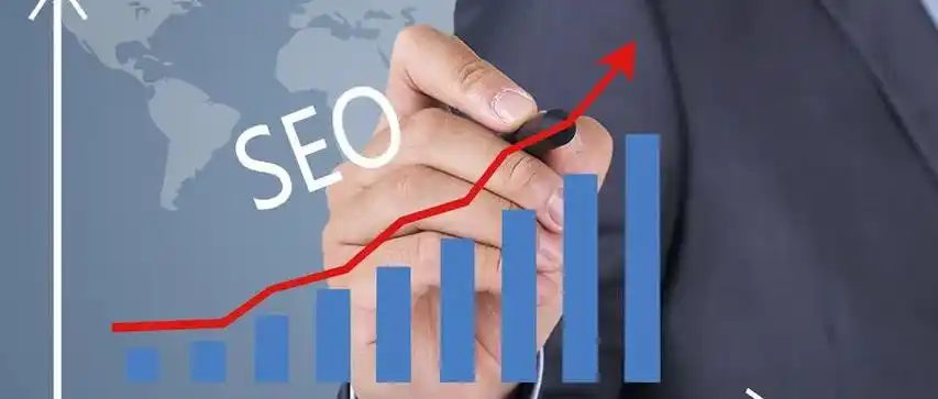 大地SEO教程：它真的适合新手入门，操作步骤具体吗？