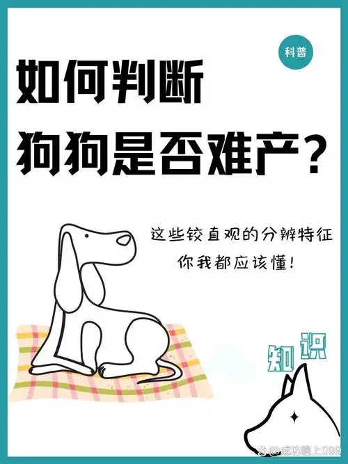 锦州seo教程哪个便宜？ 如何判断它是否适合自己？
