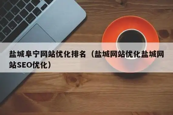 阜宁SEO哪家技术强？如何判断他们的真实水平？