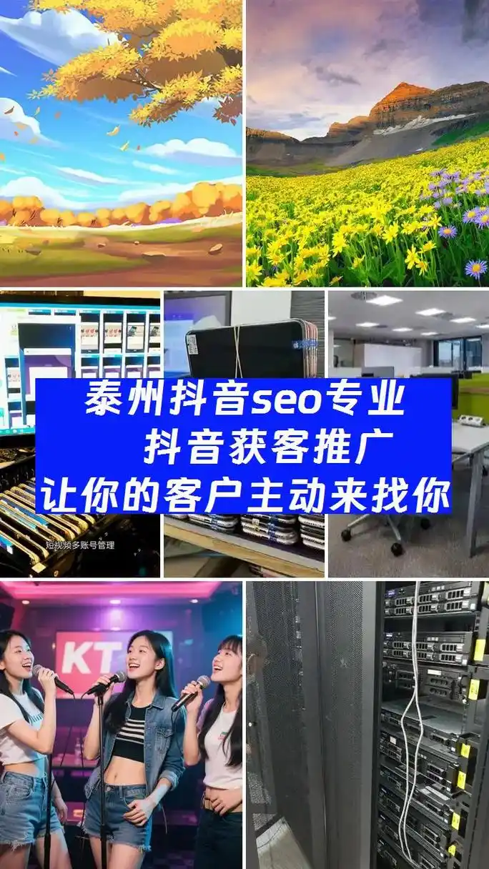 泰州SEO外包专业团队如何选？外包效果能否翻倍？