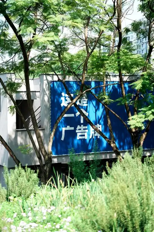 长沙SEO，朗行推广效果怎么样？ 它主要做什么项目？