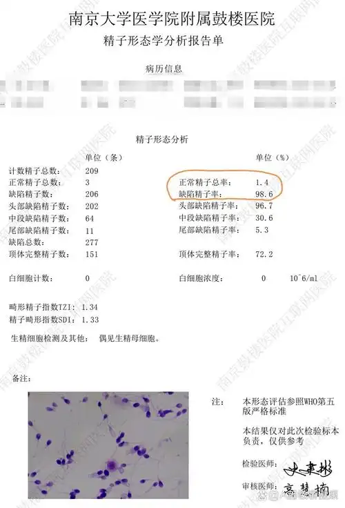 附子SEO效果能否显著提升？真实案例与评测结果如何？