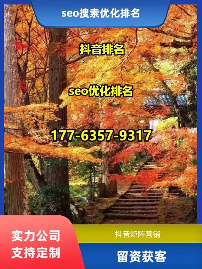 恩施州电商SEO的关键是什么？ 如何针对本地用户进行有效优化？