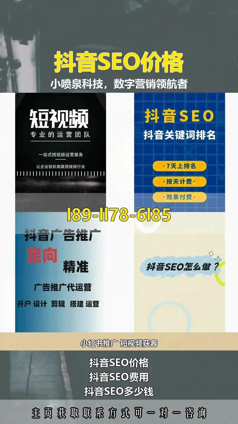 丽水抖音SEO批发价格如何？真实报价多少？