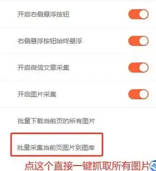 “SEO怎么输入搜索”到底该怎么搜才能找到准确答案？