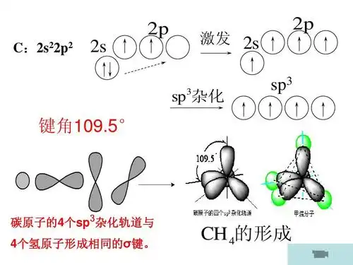 如何判断SEO4的se杂化类型？分子构型与杂化轨道有何关联？