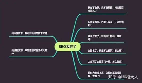 白帽SEO托管如何提升网站权重？核心价值究竟在哪？