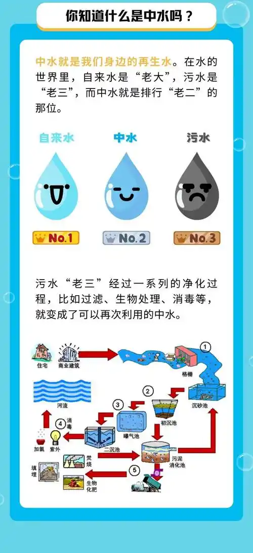 水与SeO?协同SO?能否净化空气？两者反应会生成什么？