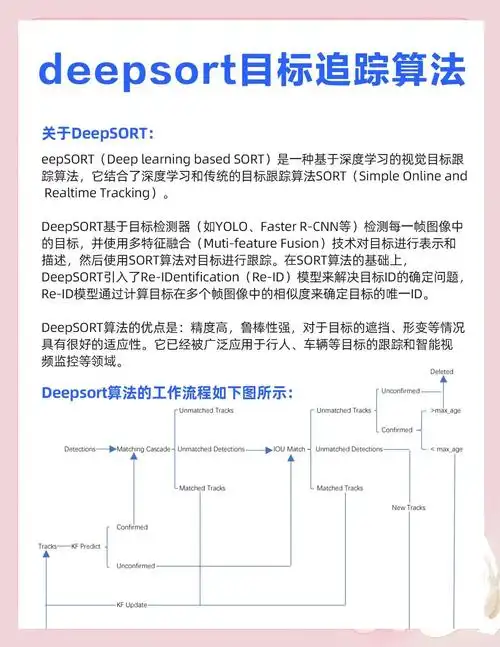 如何正确配置canonical标签以避免内容重复惩罚？ 不同编程语言在批量处理元标记时有哪些效率差异？