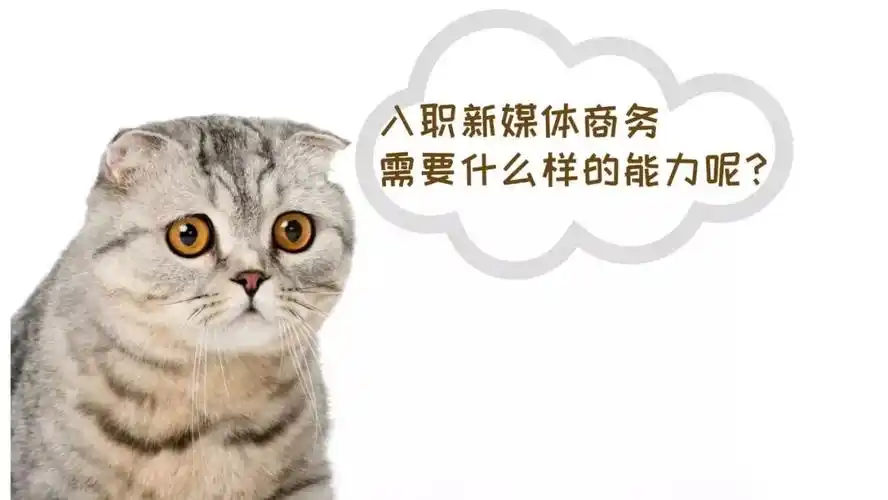 SEO专员岗位空缺多吗？入行门槛高不高？