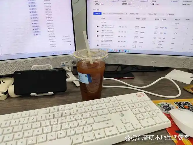 拉萨SEO公司怎么做的，他们真能帮到本地商家吗？