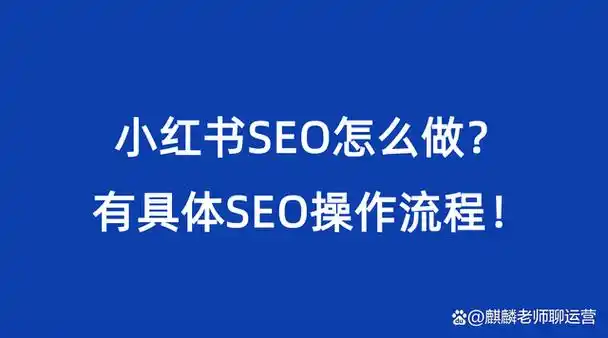 麒麟SEO优化课程真的有用吗？ 它的内容适合零基础新手吗？
