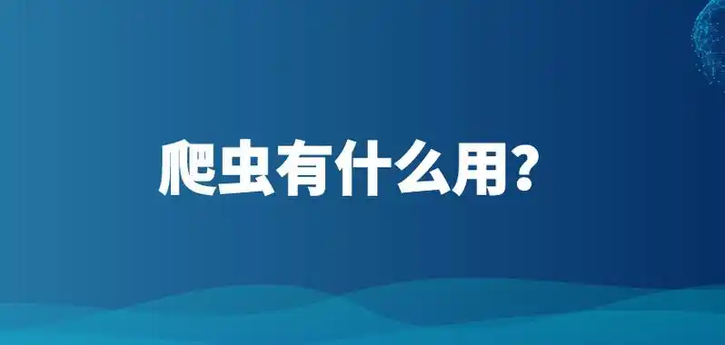 百度爬虫白名单SEO如何申请？ 它对网站收录速度有何影响？