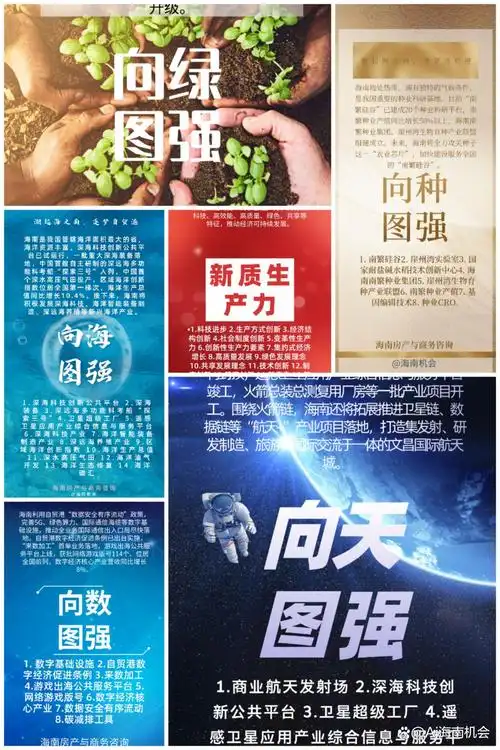 海南企业如何布局本地搜索优化？有哪些独特挑战与机遇？