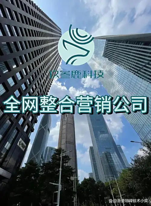 浙江关键词SEO效果如何衡量？排名提升与流量增长的真正关系何在？