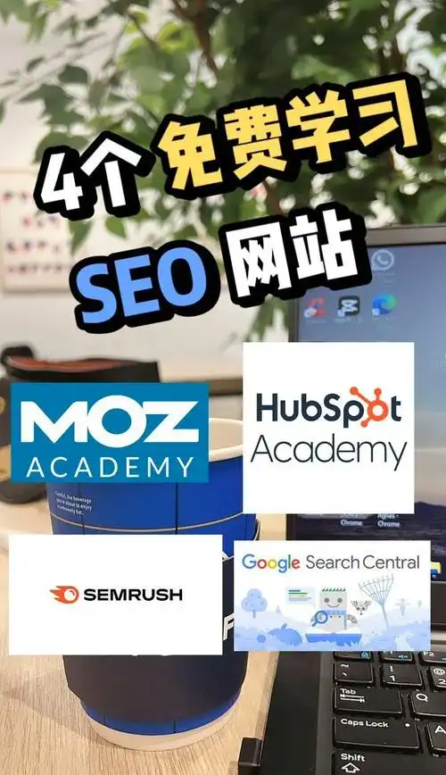 想系统学习SEO，合肥SEO学习网靠谱吗？