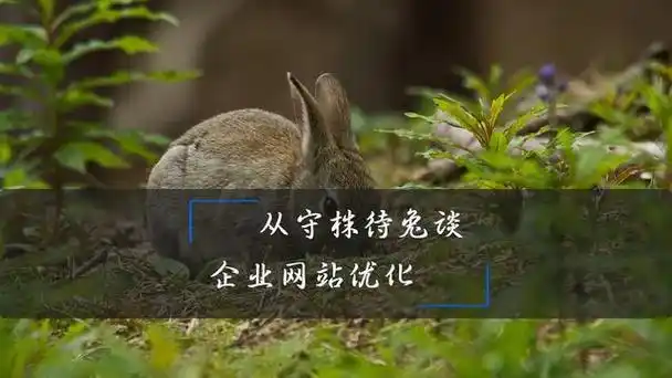 盐城SEO排名优化公司怎么找？ 哪些因素决定他们的效果？