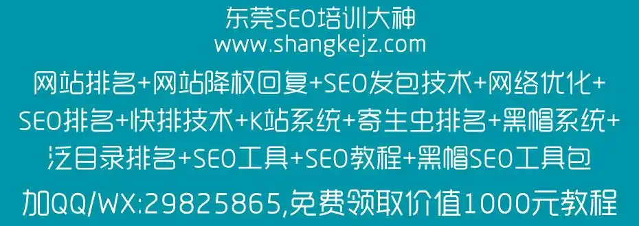 浦东培训seo能解决哪些问题，如何选择靠谱的机构？