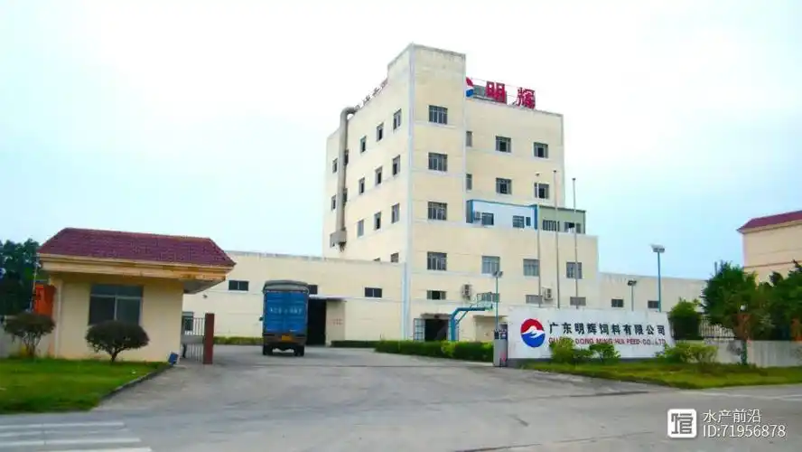 衡阳SEO外链优化公司如何破局？效果能否超越同行？