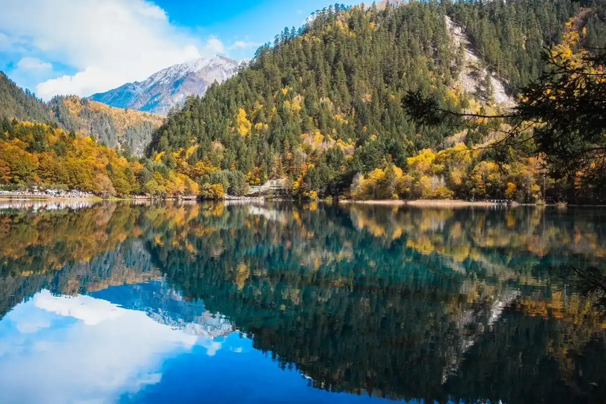 “九寨沟抖音seo系统”真的有效吗？ 它和传统搜索优化有何不同？