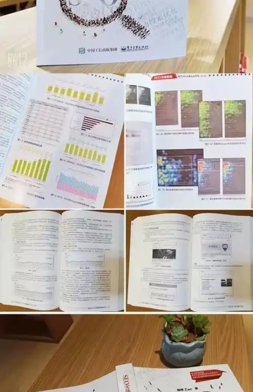 《60天seo实战密码》真的能快速提升排名吗？ 它适合完全没经验的新手吗？