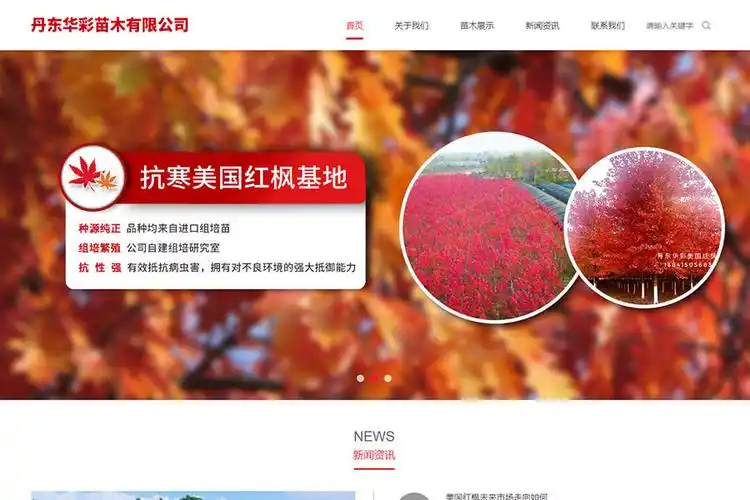 丹东seo网站优化软件怎么选，如何判断它是否真的有效？