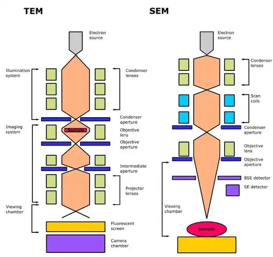 SEO、SEM、SNS是什么？它们之间到底有啥区别？