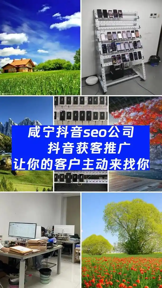 咸宁百度SEO技术真能提升排名？还是必须依赖其他手段？