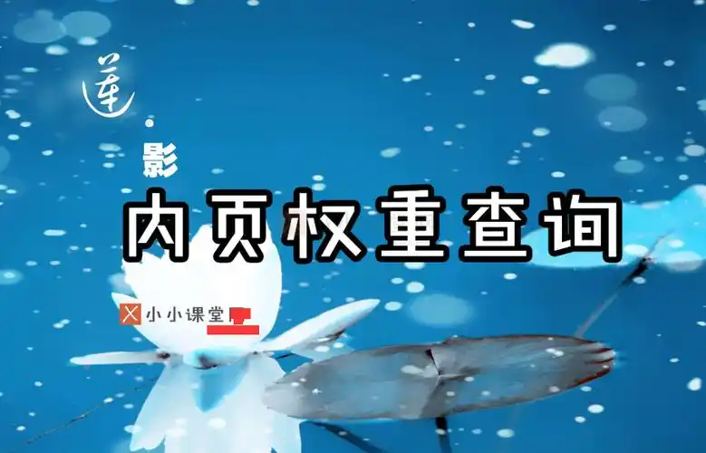 SEO万词宣传真能见效？盲目堆料是否反伤权重？