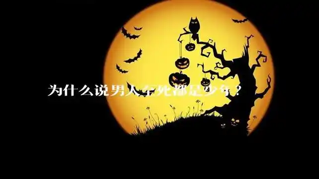 鱼台全网seo怎么做的？ 想提升排名该从哪里入手？