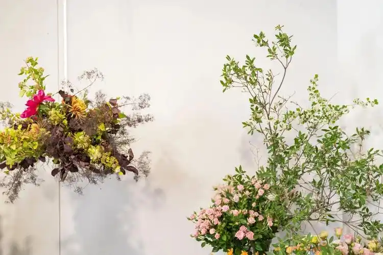 SEO电子书有哪些，哪些值得花时间看