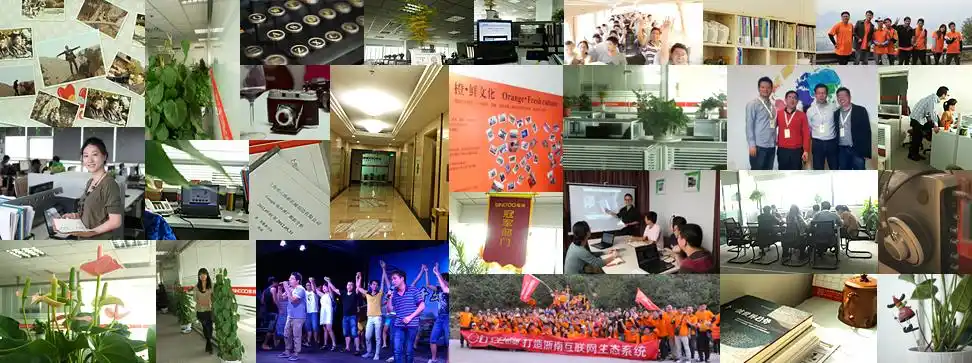 温州SEO推广优质团队怎么找？他们通常提供哪些服务？