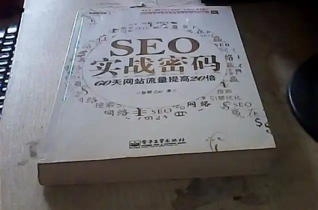 SEO实战密码微盘下载失效？资源安全获取路径何在？