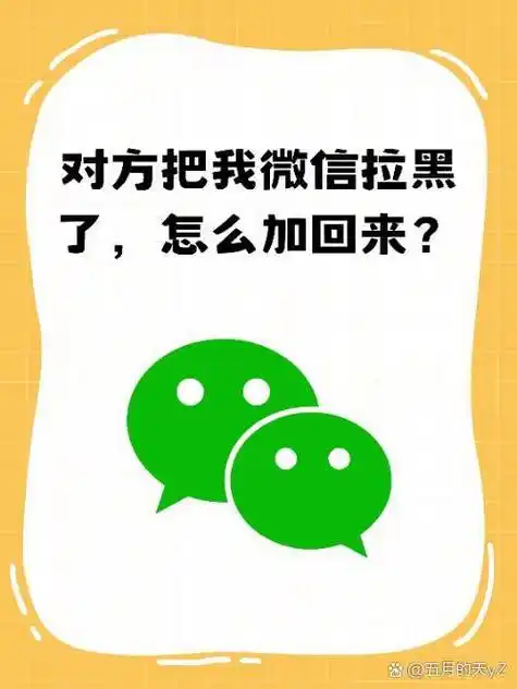 SEO活久见？算法又更新了还是你方法该换了？