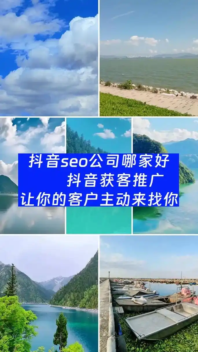 盐城抖音SEO厂家排名如何查询？效果是否真实可信？