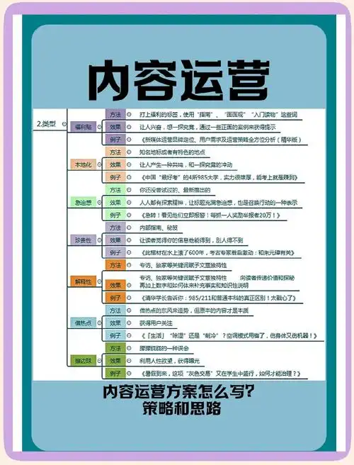 德州SEO运营，本地企业该如何起步？哪些细节最易被忽略？