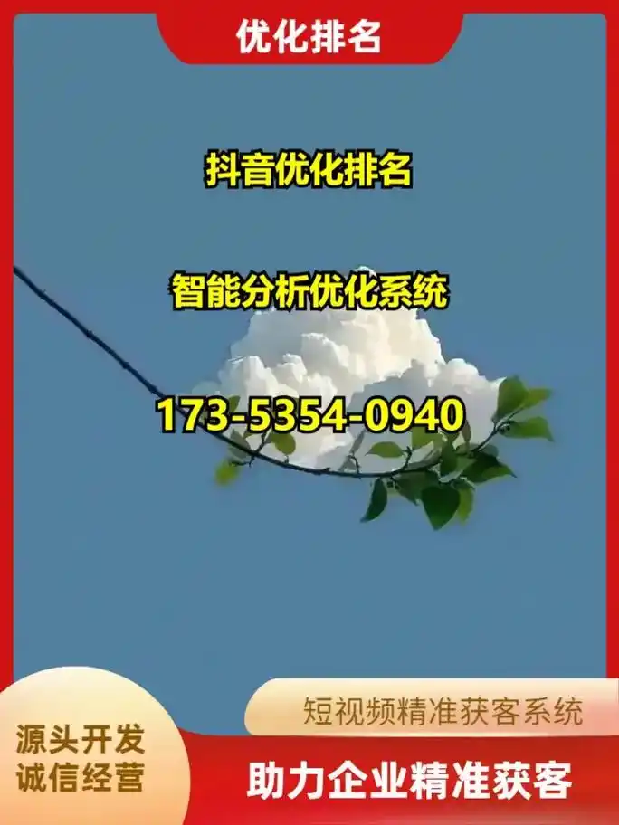 玉林SEO推广公司如何筛选？哪些值得信赖？