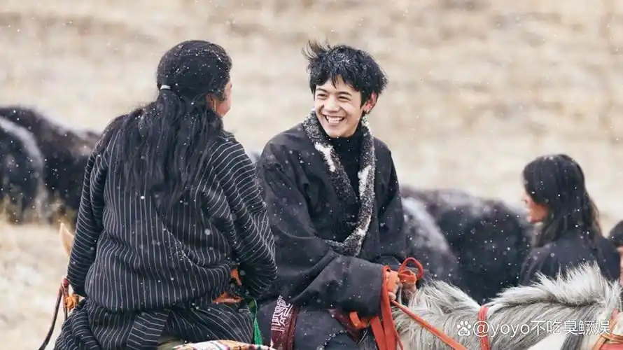 SEO能否复制丁真式破圈？流量密码如何重塑搜索逻辑？