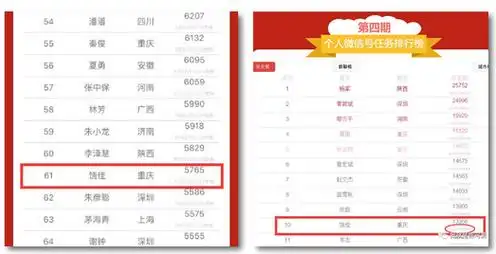 四川seo服务加盟有什么条件？ 费用和效果怎么样？