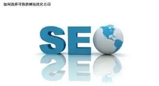 江西推荐的SEO优化共同合作有哪些靠谱选择？ 如何判断合作方是否真的懂本地市场？