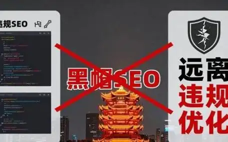 SEO中的不当经营风险有哪些，它们会导致什么后果？